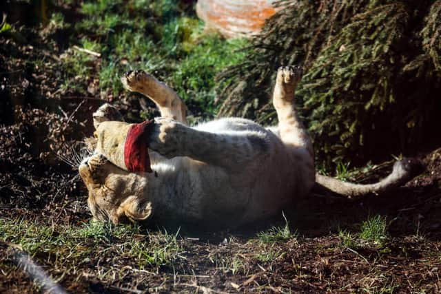 Whipsnade Zoo is calling for fragrance donations at stocks run low.