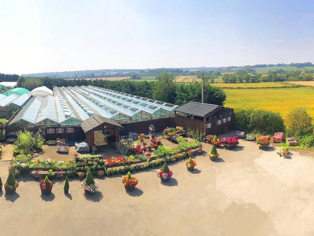 A local family-run company, shopping at Hillside Farm Nurseries will make “the garden of your dreams”. One regular at the 4.7 star centre said: ”Always fantastic plants..and so reasonably priced with good selection. Been buying from them for the last eight years.”
