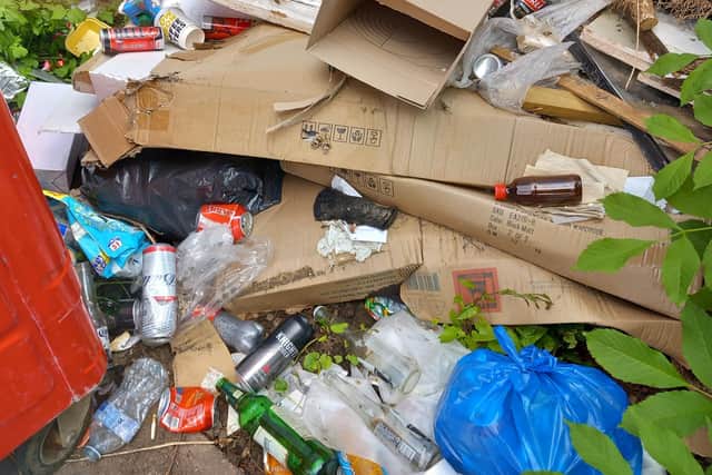 Helene has lived in Vernon Walk for more than 40 years and previously shared the “intolerable and unacceptable” state of her area – which discouraged her from inviting loved ones to her home.