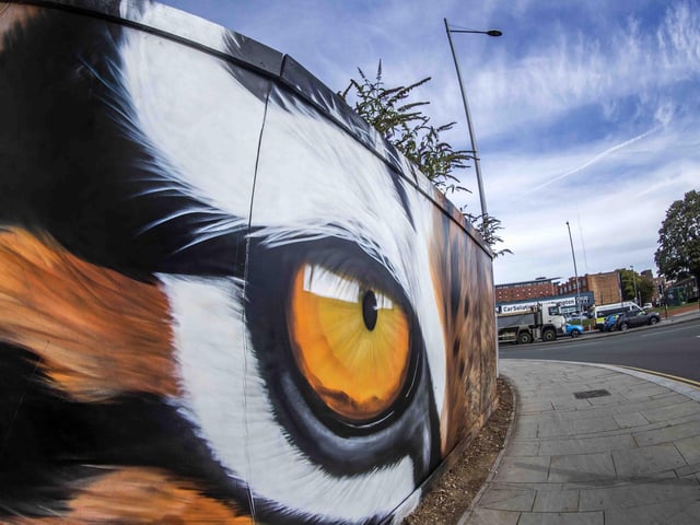 Some of the UK's top graffiti artists sprayed walls and boards in Sol Central, Green Street and St Peter’s Way with the intention to increase community pride and reduce crime