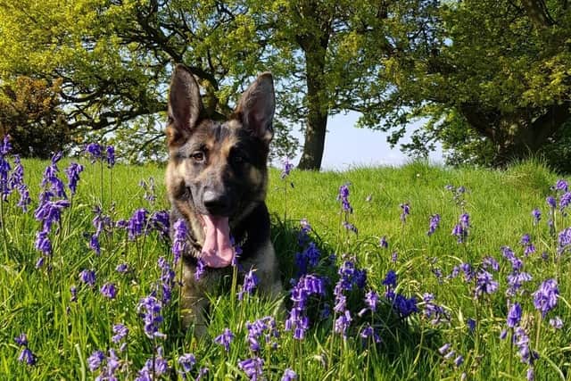 PD Kez made 126 arrests during her career.
