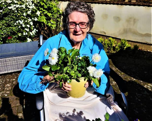 Sheila's Potted Display of Joy