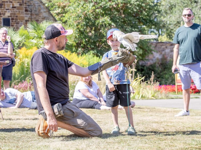 Families visited Delapre Abbey on Sunday August 17 to meet and learn about birds of prey.