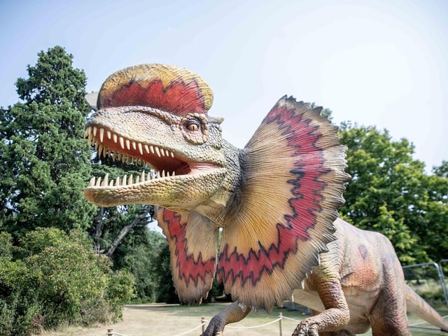 What to expect from the Dinosaurs in the Park event, which is at Delapre Abbey until Sunday September 1, 2024.
