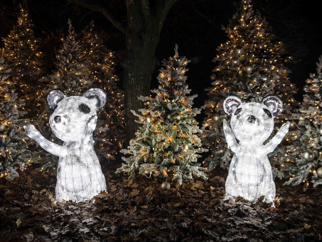 Take a look around the winter light trail, which is now open and will be until December 31.
