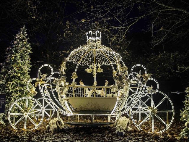 Take a look around the winter light trail, which is now open and will be until December 31.