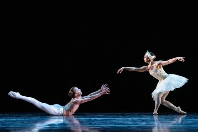 The Dying Swan