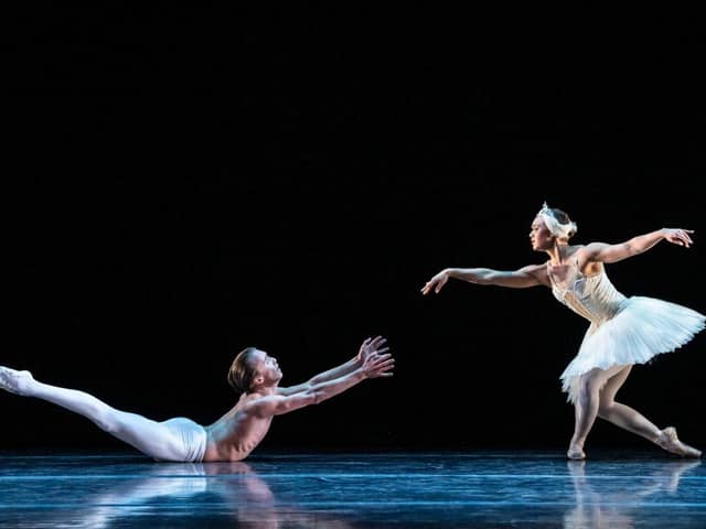 The Dying Swan