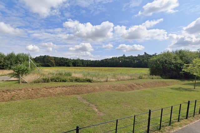 View from York way onto the five-hectare green site which bounds Harlestone Firs woodland.