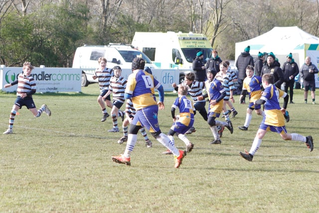 The under-11s festival took place at Old Scouts Rugby Club in Rushmere Road on Saturday (April 2).