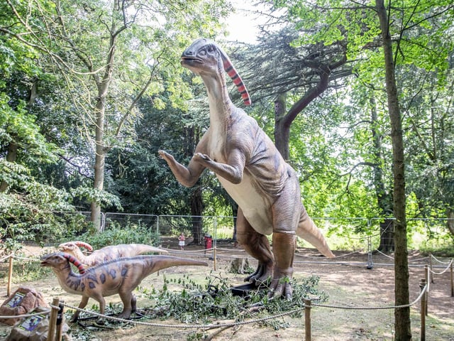 What to expect from the Dinosaurs in the Park event, which is at Delapre Abbey until Sunday September 1, 2024.