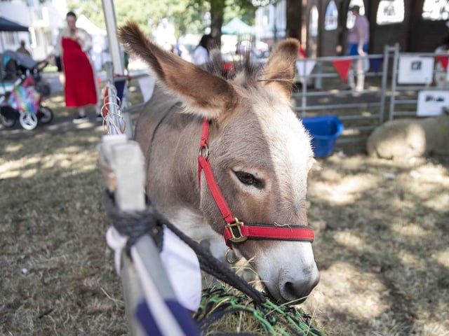 Spring Boroughs community enjoys family fun day on estate