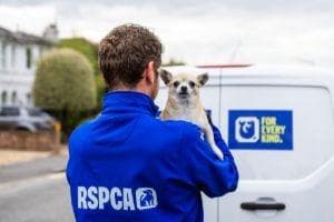 'Many magical moments' RSPCA searches for new animal rescue ...