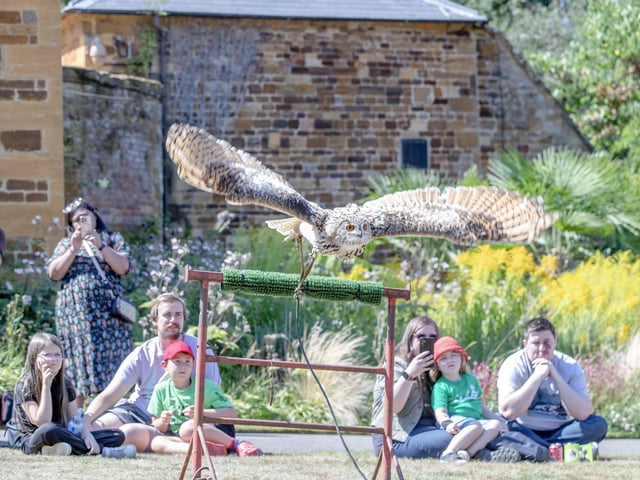 Families visited Delapre Abbey on Sunday August 17 to meet and learn about birds of prey.