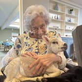 Nazareth House resident with a baby lamb