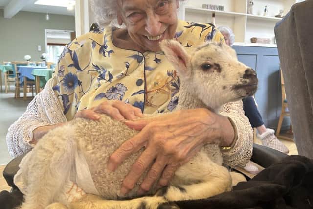 Nazareth House resident with a baby lamb