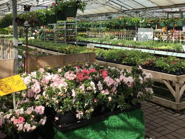 Offering an extensive range of products, including seeds, vegetable plants, fruit trees, and homegrown perennials shrubs - the business has been reviewed almost 500 times on Google with an average score of 4.5. “Excellent garden centre, with a good selection of really healthy great value plants. I guess it’s a small private business but it’s all the better for it”, one reviewer said.