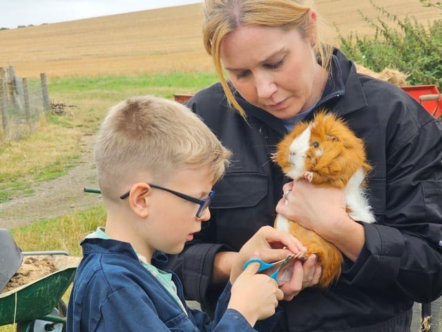 Learning Animal Care