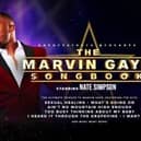The Marvin Gaye Songbook 