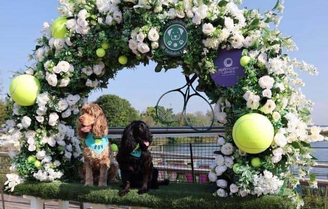 It's time to snap your dog posing at Rushden Lakes by the Wimbledon themed floral arch