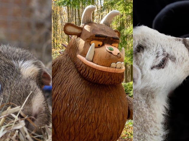 There is plenty on to keep the kids entertained...