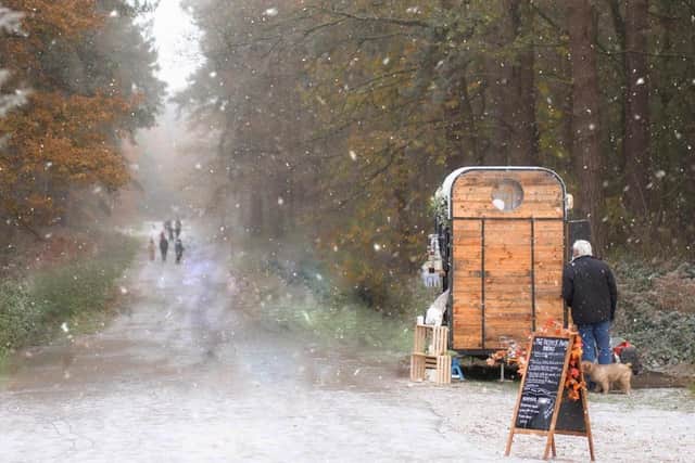 Next year, Jordan would like to sustain her pitch on Harlestone Firs and begin organising community events for everyone to enjoy. Photo: Helen Tisbury Photography.