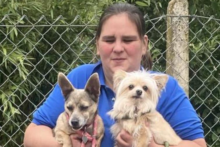 Bonnie and Kizzy are beautiful older ladies hoping for a quiet home together. Re-homed by us several years ago, they sadly had to come back. Both are housetrained and good with older sensible children. They would be great companions to a mature person. They cannot be re-homed where there are cats