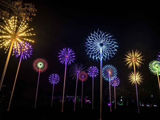 Take a look around the winter light trail, which is now open and will be until December 31.