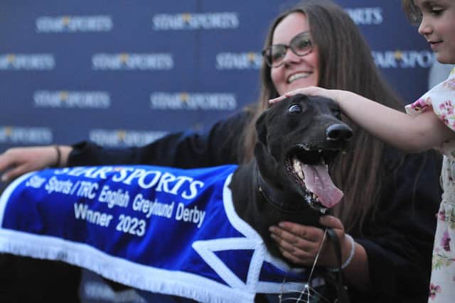 Gaytime Nemo - winner of the 2023 Star Sports English Greyhound Derby.