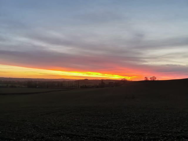 A range of colours taken in Harpole fields near Glassthorpe Lane.
