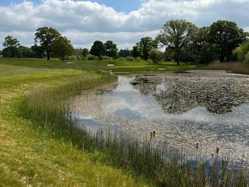 A lake runs alongside the 16th hole at Killeen Castle
