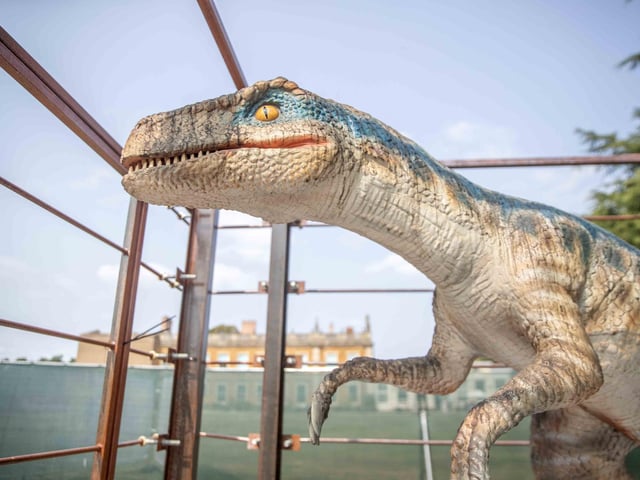 What to expect from the Dinosaurs in the Park event, which is at Delapre Abbey until Sunday September 1, 2024.