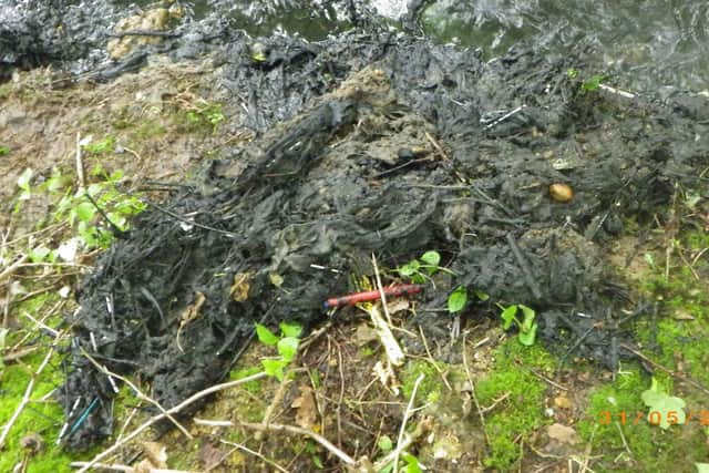 Investigating officers also found sewage debris.