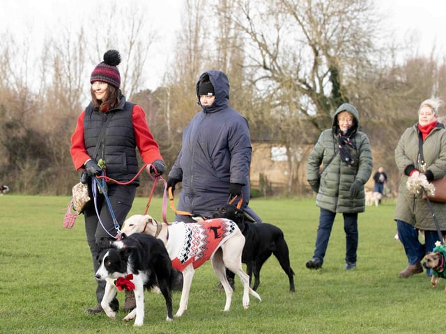 The popular event saw more than 100 dogs walked around Bradlaugh Fields in Northampton on Sunday (December 22).
