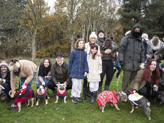 The French Bulldog Meet & Walk group’s Christmas walk at Hunsbury Hill Country Park on Sunday December 4, 2022.
