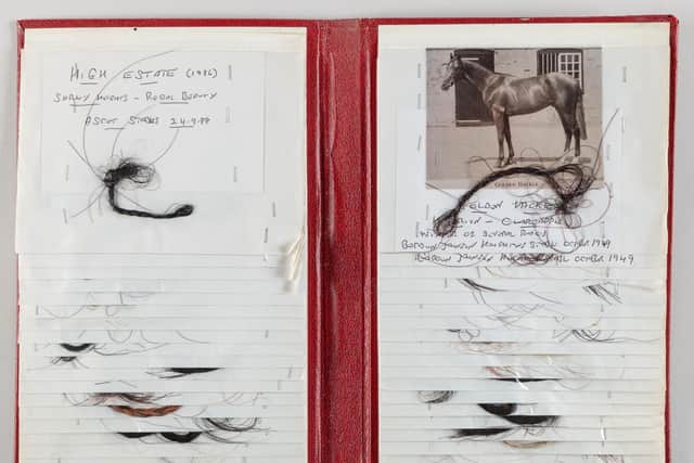 A unique collection of locks of hair, cut from the manes and tails of some of the world’s most famous racehorses
