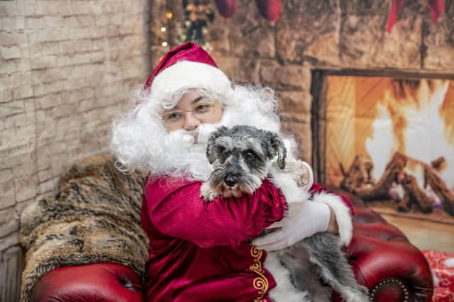 Teddy’s Dog Care, situated in Wootton, hosted a luxury Santa Paws Grotto experience for dogs on Saturday December 17, 2022.