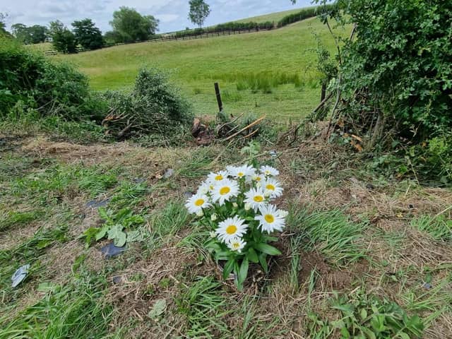 Flowers left by Denise and David Bailey in tribute to the couple killed in a car crash near Brampton Ash