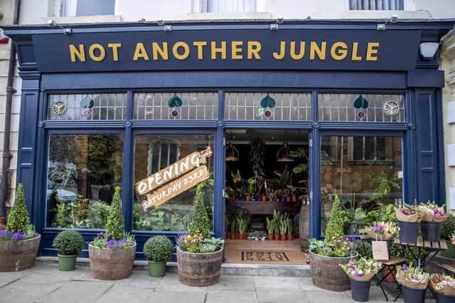 Not Another Jungle ahead of opening to the public last April. Photo: Kirsty Edmonds.