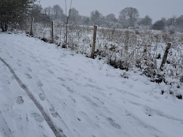 Footsteps in Bradlaugh Fields.
