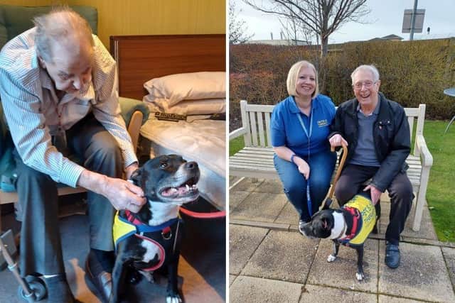 The pair visit the home every Saturday and the benefit to the residents has been described as “totally immeasurable”.