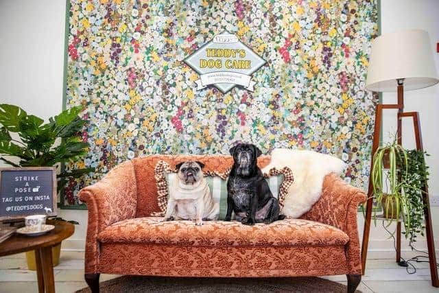 The business was initially run from Michelle’s home and after going from strength to strength, it relocated to ‘The Lodge’ in Wootton. Photo: Kirsty Edmonds.