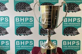 The Hobsons' Hedgehog Cup trophy