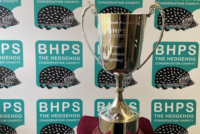 The Hobsons' Hedgehog Cup trophy