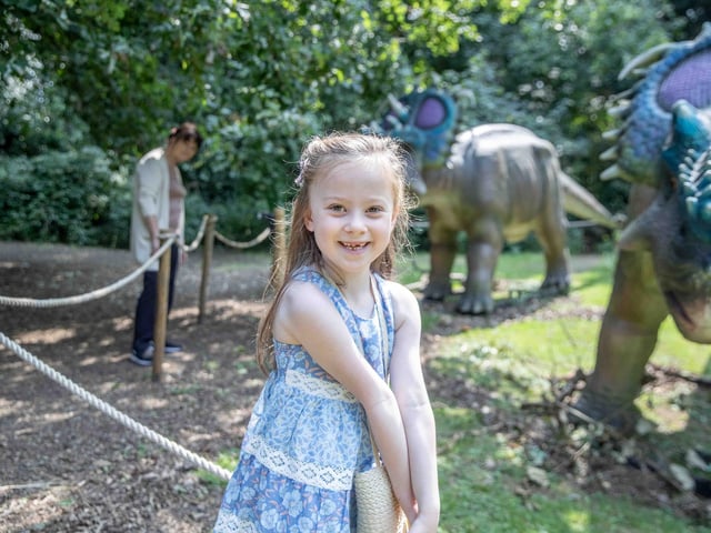 What to expect from the Dinosaurs in the Park event, which is at Delapre Abbey until Sunday September 1, 2024.