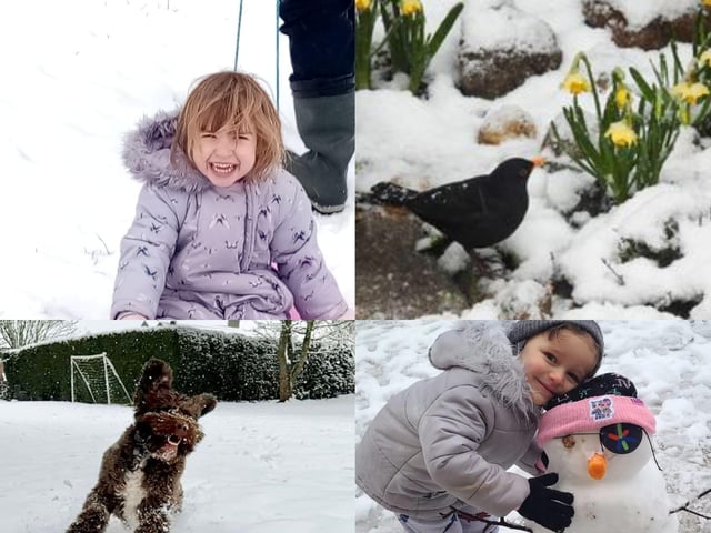 All smiles as little ones and dogs enjoy the snow.