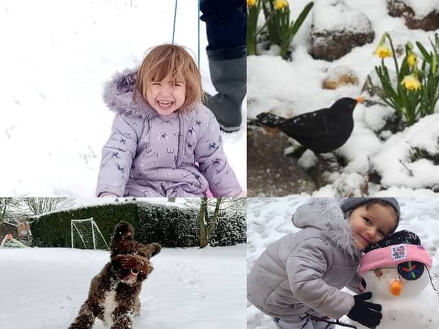 All smiles as little ones and dogs enjoy the snow.