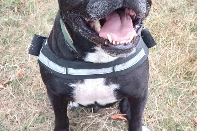 RSPCA