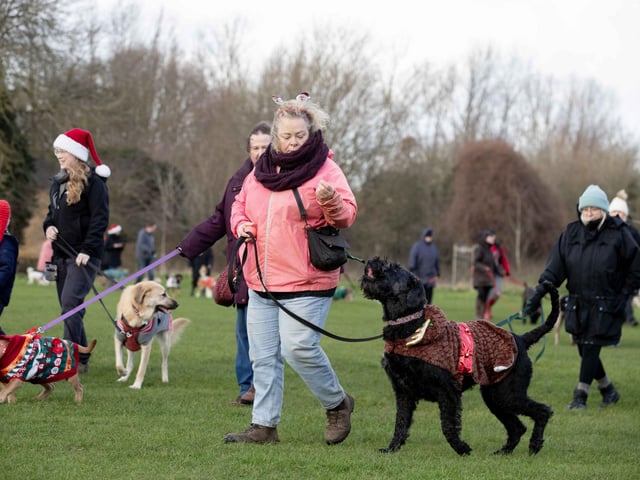 The popular event saw more than 100 dogs walked around Bradlaugh Fields in Northampton on Sunday (December 22).