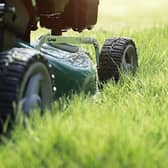 Garden Mower and grass image